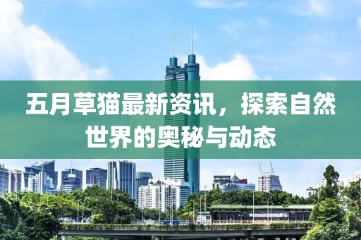 五月草猫最新资讯，探索自然世界的奥秘与动态