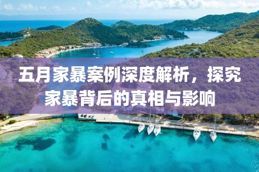 五月家暴案例深度解析，探究家暴背后的真相与影响
