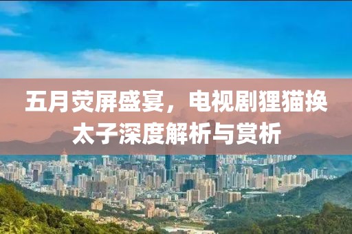 五月荧屏盛宴，电视剧狸猫换太子深度解析与赏析