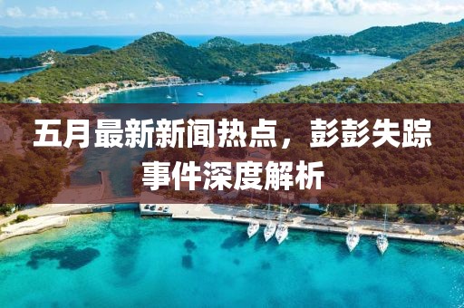 五月最新新闻热点，彭彭失踪事件深度解析