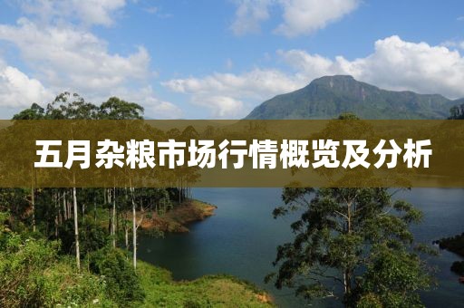 五月杂粮市场行情概览及分析