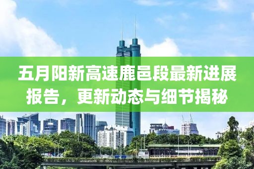 五月阳新高速鹿邑段最新进展报告，更新动态与细节揭秘