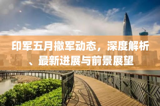 印军五月撤军动态，深度解析、最新进展与前景展望