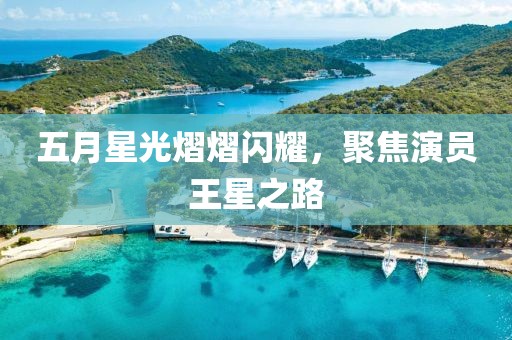 五月星光熠熠闪耀，聚焦演员王星之路
