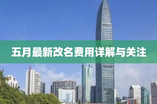 五月最新改名费用详解与关注