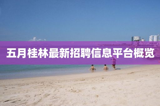 五月桂林最新招聘信息平台概览