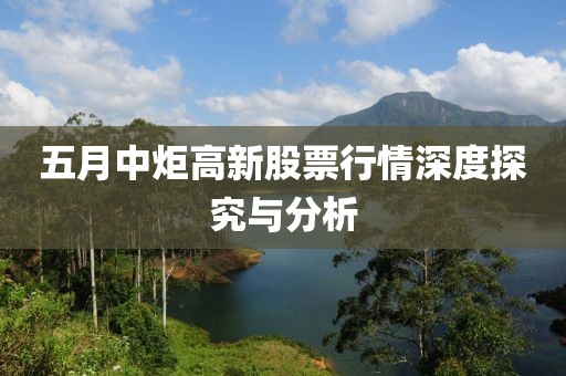 五月中炬高新股票行情深度探究与分析
