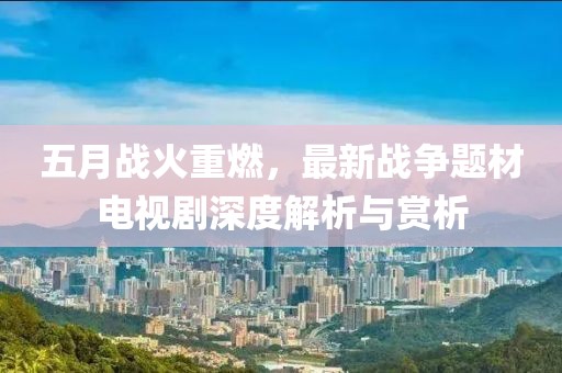 五月战火重燃，最新战争题材电视剧深度解析与赏析
