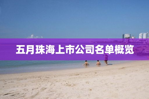 五月珠海上市公司名单概览