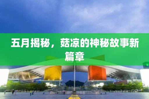 五月揭秘，菇凉的神秘故事新篇章