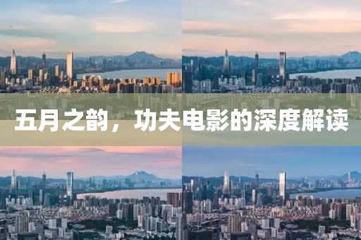 五月之韵，功夫电影的深度解读
