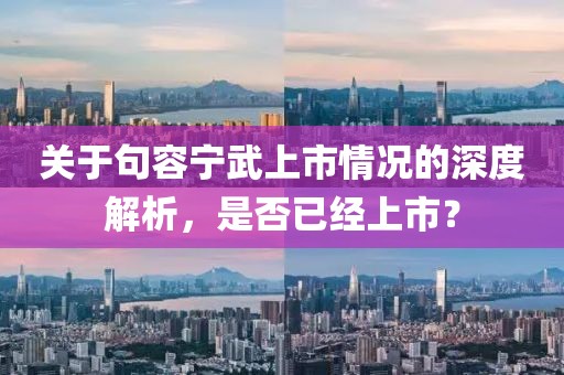 关于句容宁武上市情况的深度解析，是否已经上市？