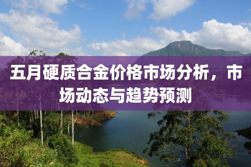 五月硬质合金价格市场分析，市场动态与趋势预测
