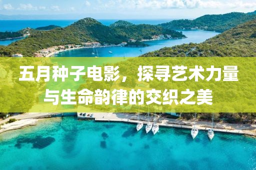 五月种子电影，探寻艺术力量与生命韵律的交织之美
