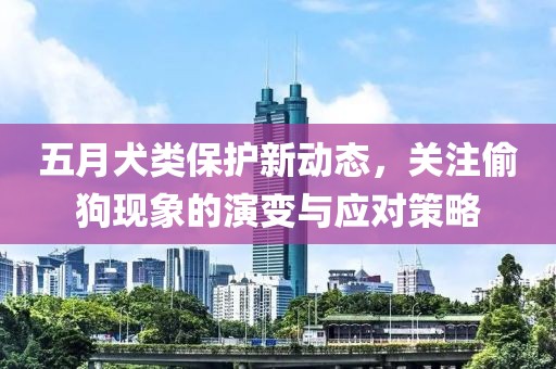 五月犬类保护新动态，关注偷狗现象的演变与应对策略