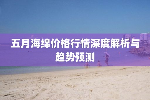 五月海绵价格行情深度解析与趋势预测