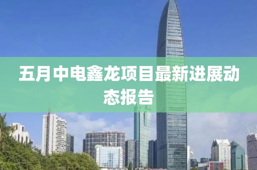 五月中电鑫龙项目最新进展动态报告