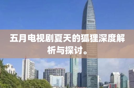 五月电视剧夏天的狐狸深度解析与探讨。