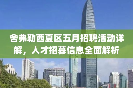 舍弗勒西夏区五月招聘活动详解，人才招募信息全面解析