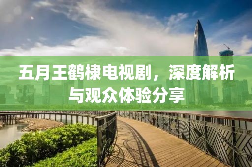 五月王鹤棣电视剧，深度解析与观众体验分享