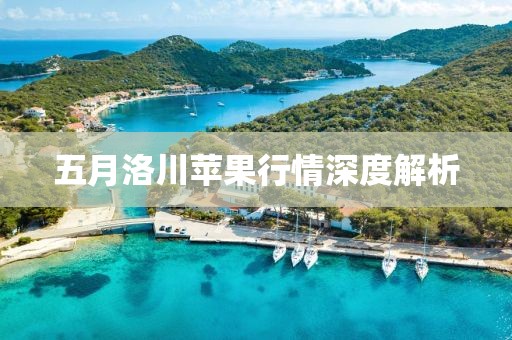 五月洛川苹果行情深度解析