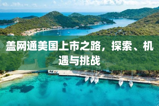 盖网通美国上市之路，探索、机遇与挑战
