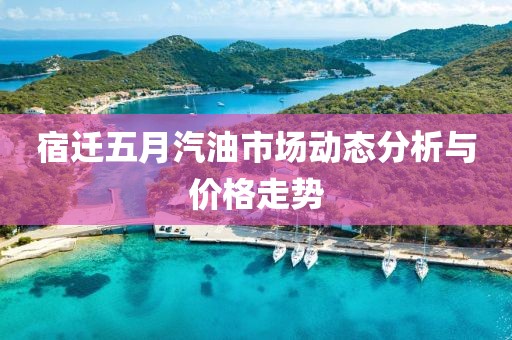 宿迁五月汽油市场动态分析与价格走势