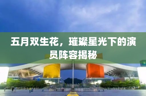五月双生花，璀璨星光下的演员阵容揭秘