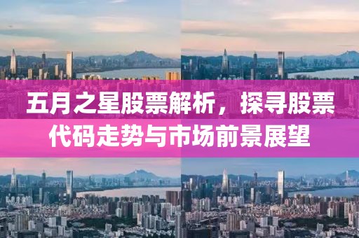 五月之星股票解析，探寻股票代码走势与市场前景展望
