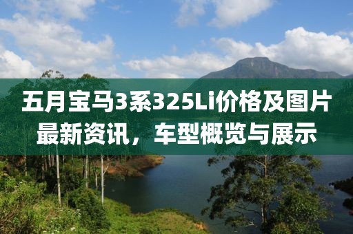 五月宝马3系325Li价格及图片最新资讯，车型概览与展示