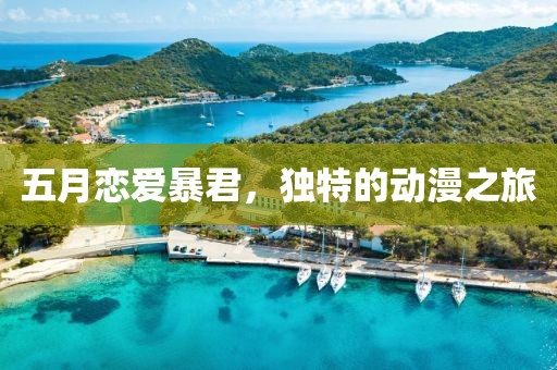 五月恋爱暴君，独特的动漫之旅