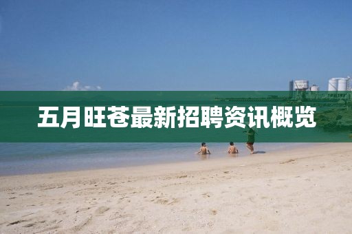 五月旺苍最新招聘资讯概览