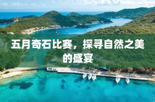 五月奇石比赛，探寻自然之美的盛宴