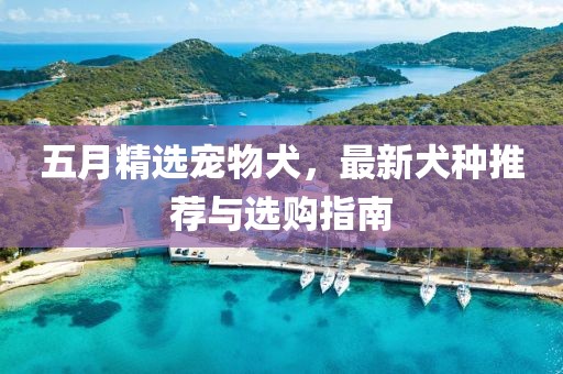 五月精选宠物犬，最新犬种推荐与选购指南