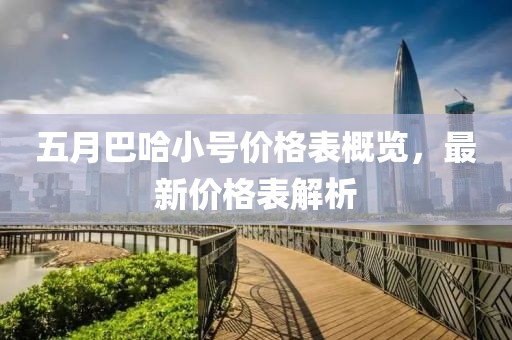 五月巴哈小号价格表概览，最新价格表解析