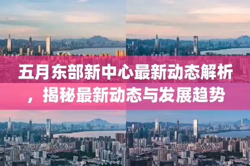 五月东部新中心最新动态解析，揭秘最新动态与发展趋势