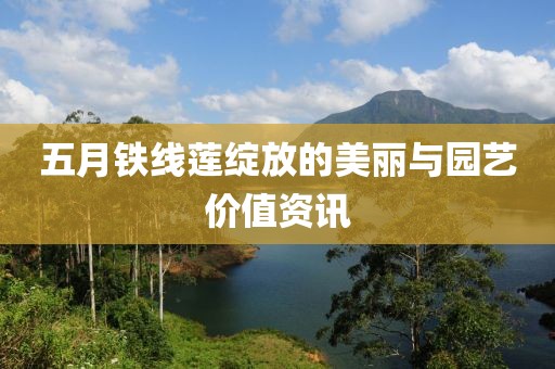 五月铁线莲绽放的美丽与园艺价值资讯