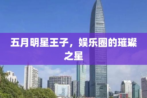 五月明星王子，娱乐圈的璀璨之星