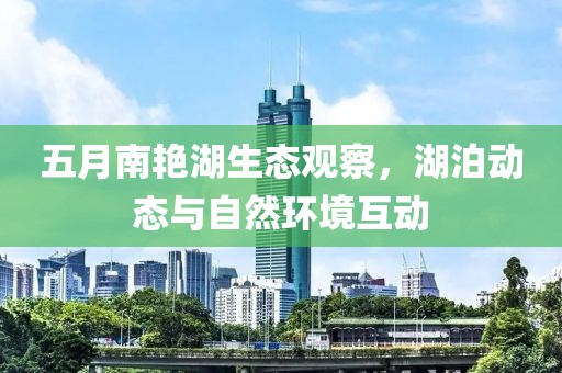 五月南艳湖生态观察，湖泊动态与自然环境互动