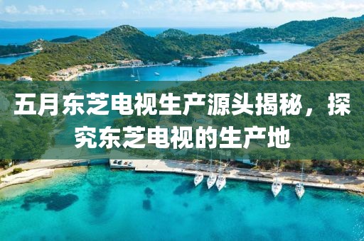 五月东芝电视生产源头揭秘，探究东芝电视的生产地