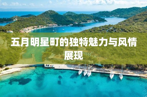 五月明星町的独特魅力与风情展现