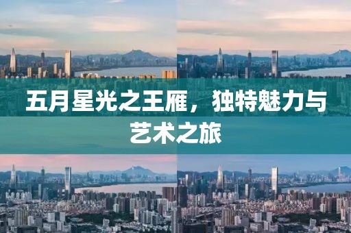 五月星光之王雁，独特魅力与艺术之旅