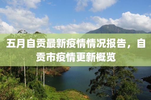 五月自贡最新疫情情况报告，自贡市疫情更新概览