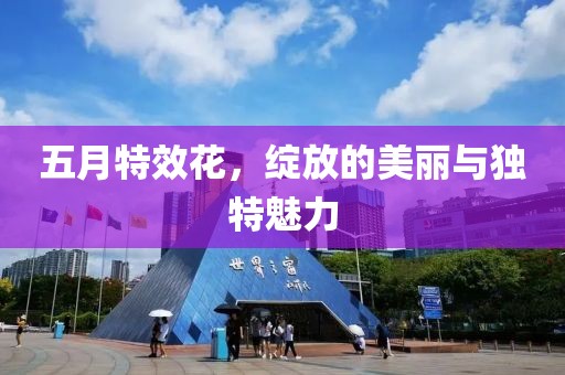 五月特效花，绽放的美丽与独特魅力