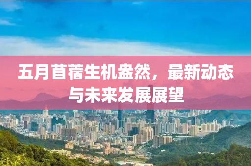 五月苜蓿生机盎然，最新动态与未来发展展望