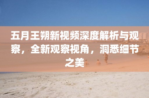 五月王朔新视频深度解析与观察，全新观察视角，洞悉细节之美