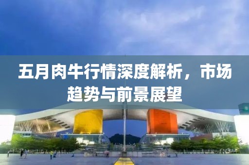 五月肉牛行情深度解析，市场趋势与前景展望