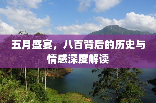 五月盛宴，八百背后的历史与情感深度解读