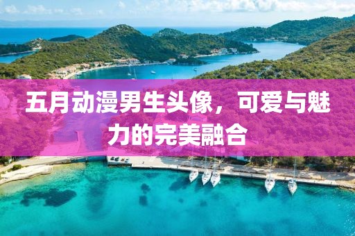 五月动漫男生头像，可爱与魅力的完美融合