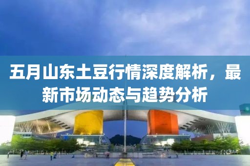 五月山东土豆行情深度解析，最新市场动态与趋势分析